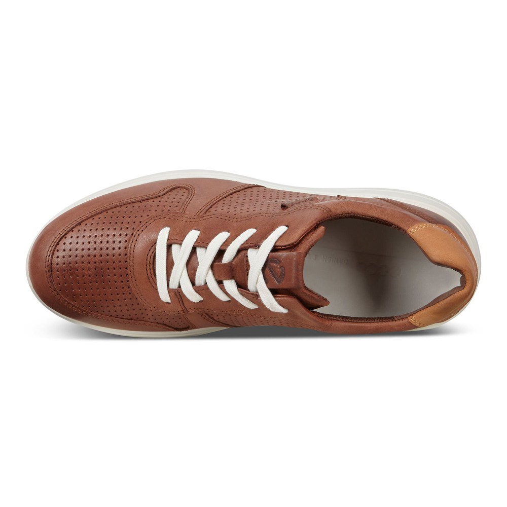 Tenis Hombre - ECCO Soft 7 Runner Lace-Ups - Marrom - CYQ348576